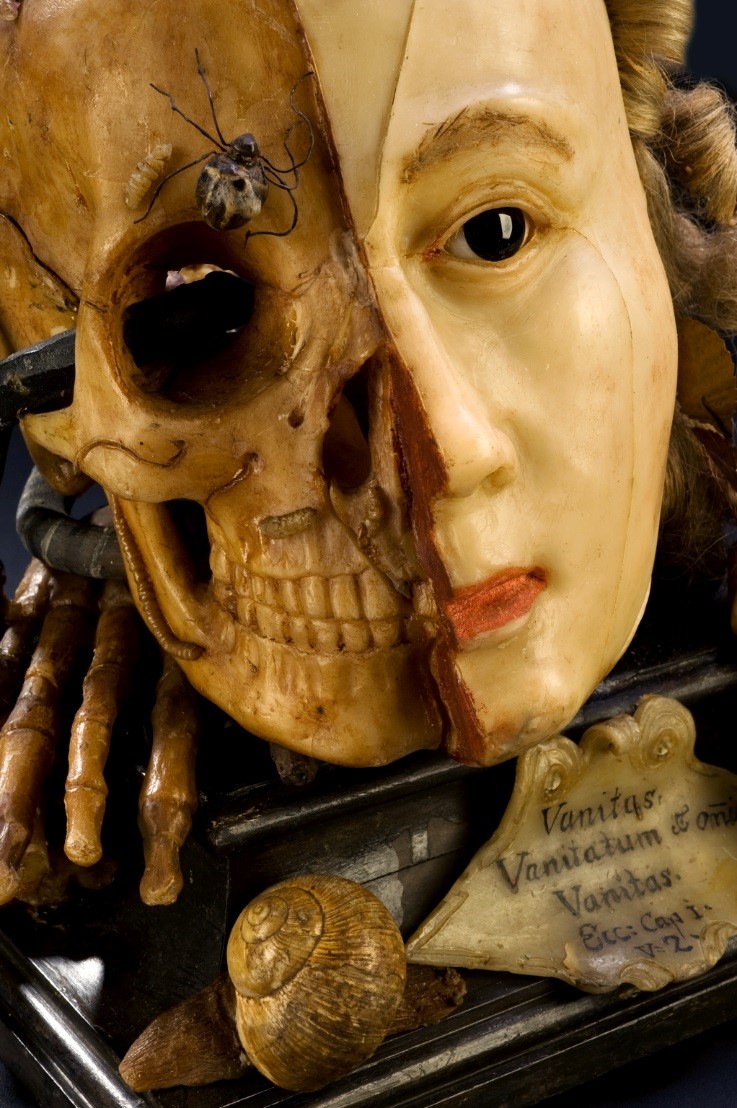 Wax model of a female head depicting life and death, European and 18th century.