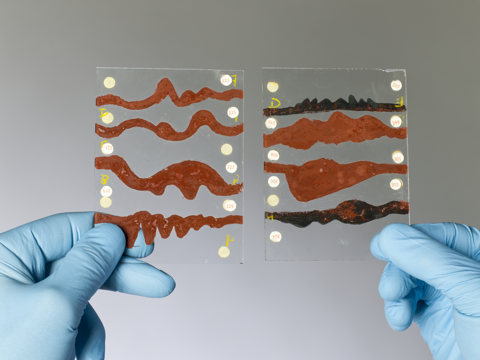 Two waveform slides hand-painted by Daphne Oram, from her Oramics Machine (Credit: Science Museum / Science & Society)