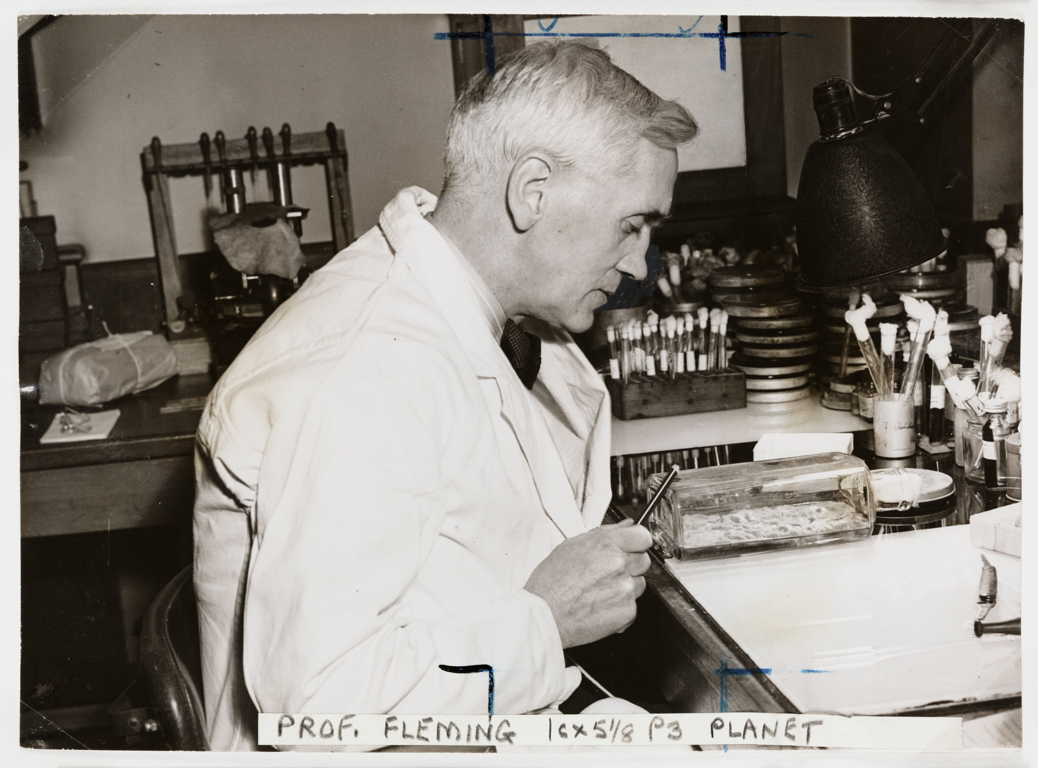Alexander Fleming discovered the antibiotic penicillin in 1929. Antibiotics were voted as the top invention in the MRC's Centenary Poll. Credit: Science Museum / SSPL