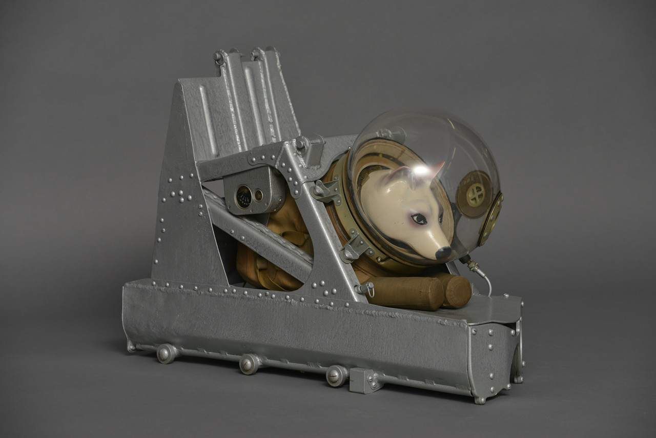 Dog-space-suit-with-mannequin-and-catapu