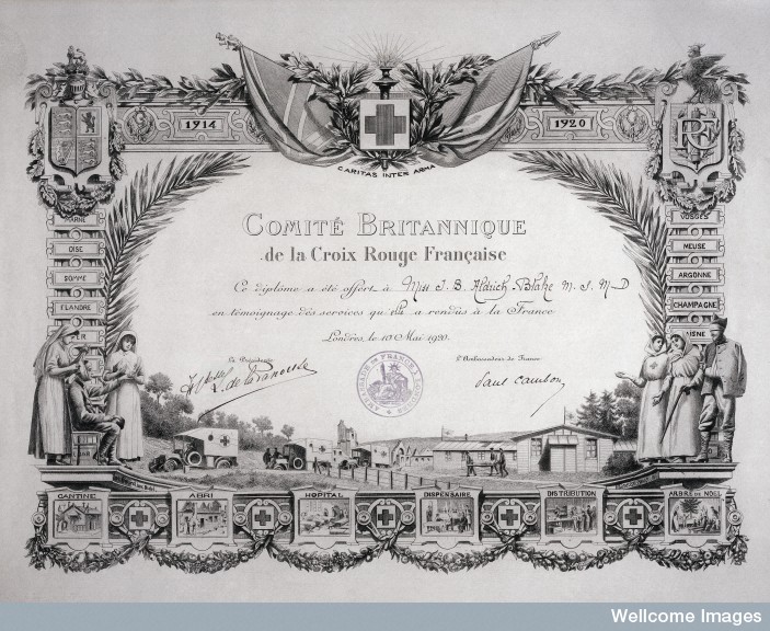 The diploma awarded to Dame Louisa in 1920 for her wartime services. Image © Wellcome Images, London. 