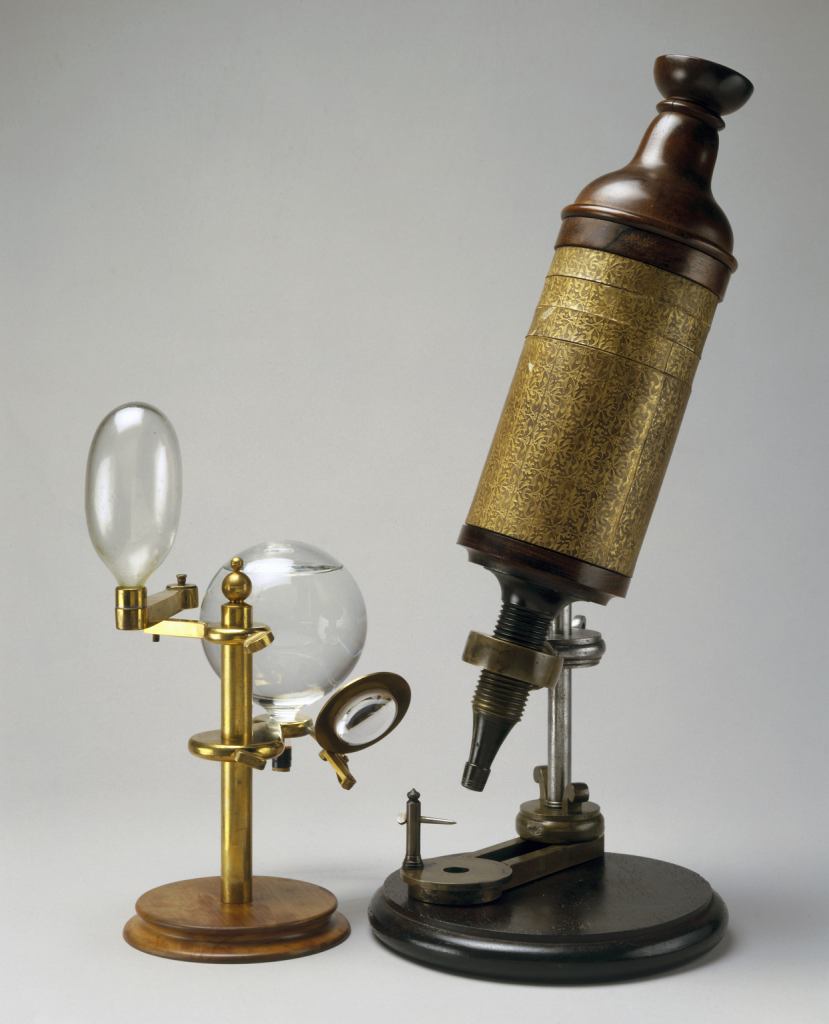 Who Developed The First Microscope