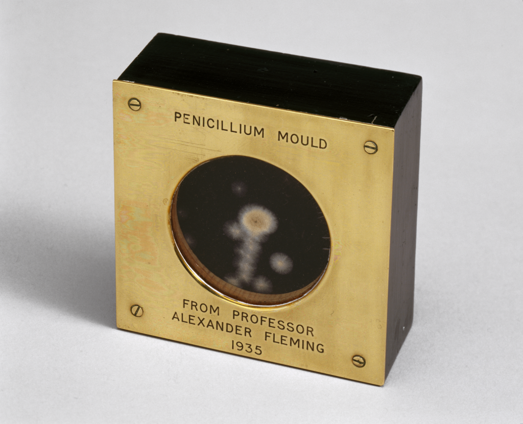 oxford-and-the-forgotten-man-of-penicillin-science-museum-blog