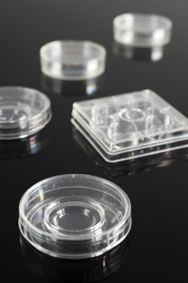 Petri dishes and tubes to incubate embryos used in the process of IVF.