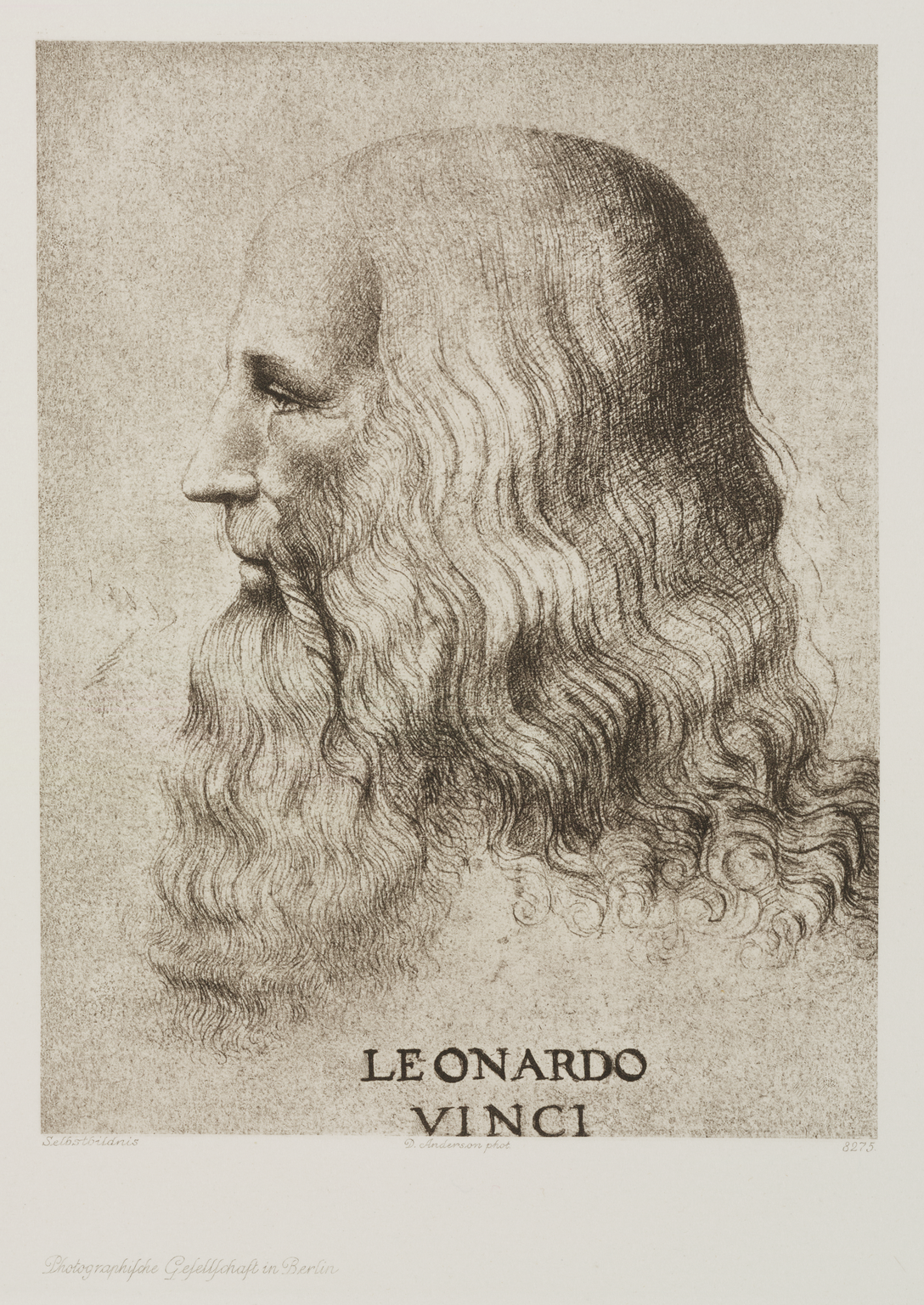 Who was leonardo da vinci. Леонардо да Винчи. Леонардо да Винчи портрет. Леонардо да Винчи (1452-1519) портрет. Леонардо да Винчи портрет с подписью.