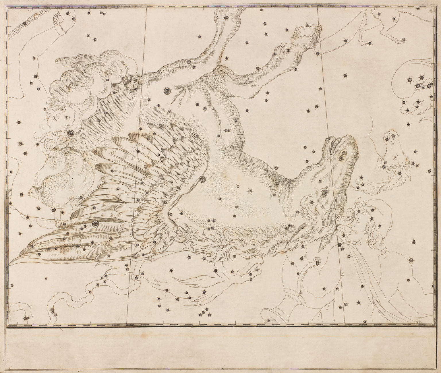 The constellation of Pegasus. By John Flamstead (Flamsteed).