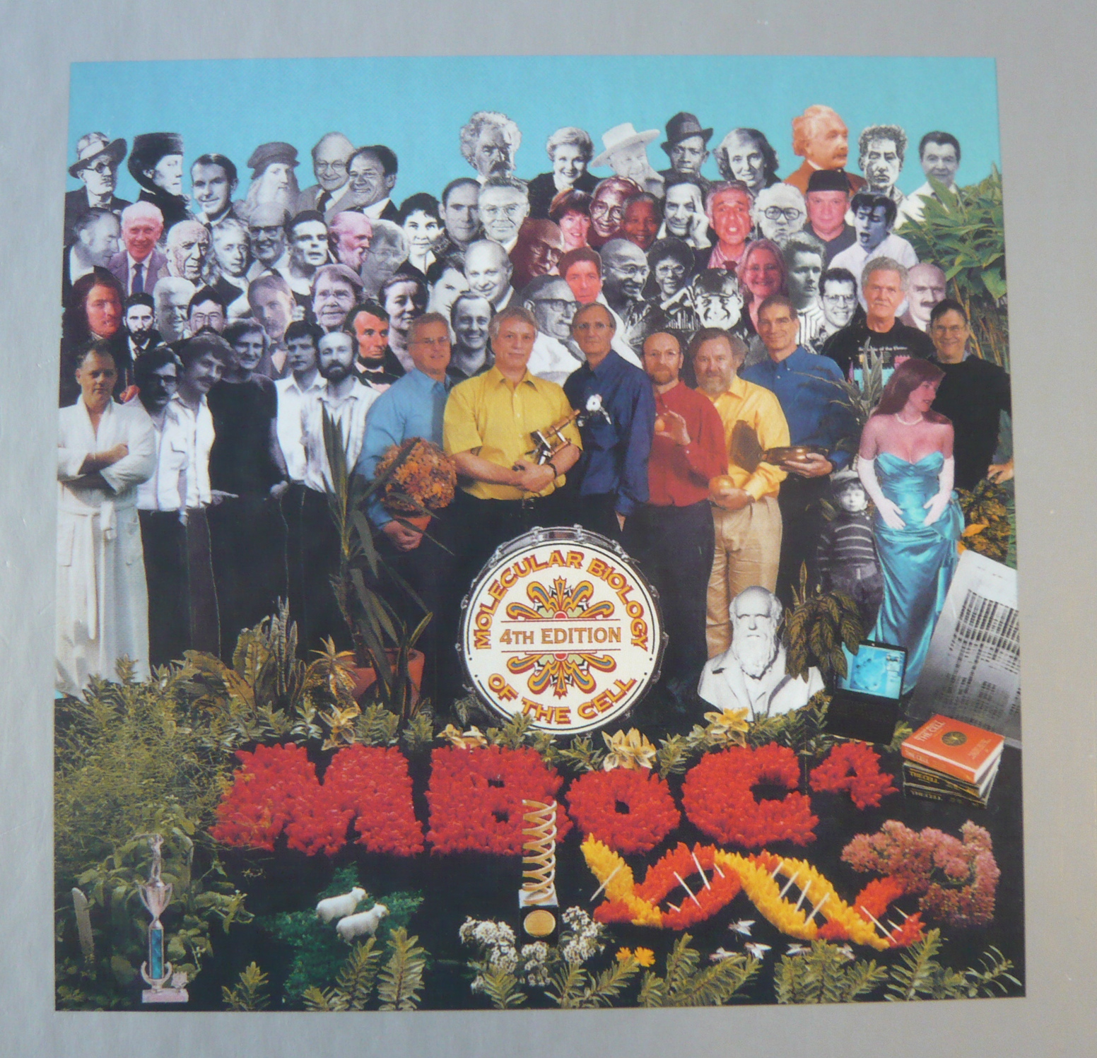 A reimagining of the Sgt Pepper's Lonely Hearts Club Band Cover.