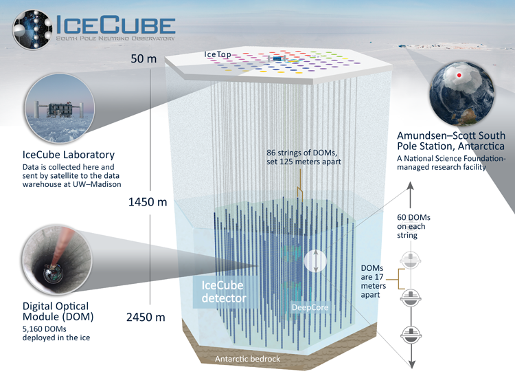 IceCube detector. Credit: University of Wisconsin-Madison
