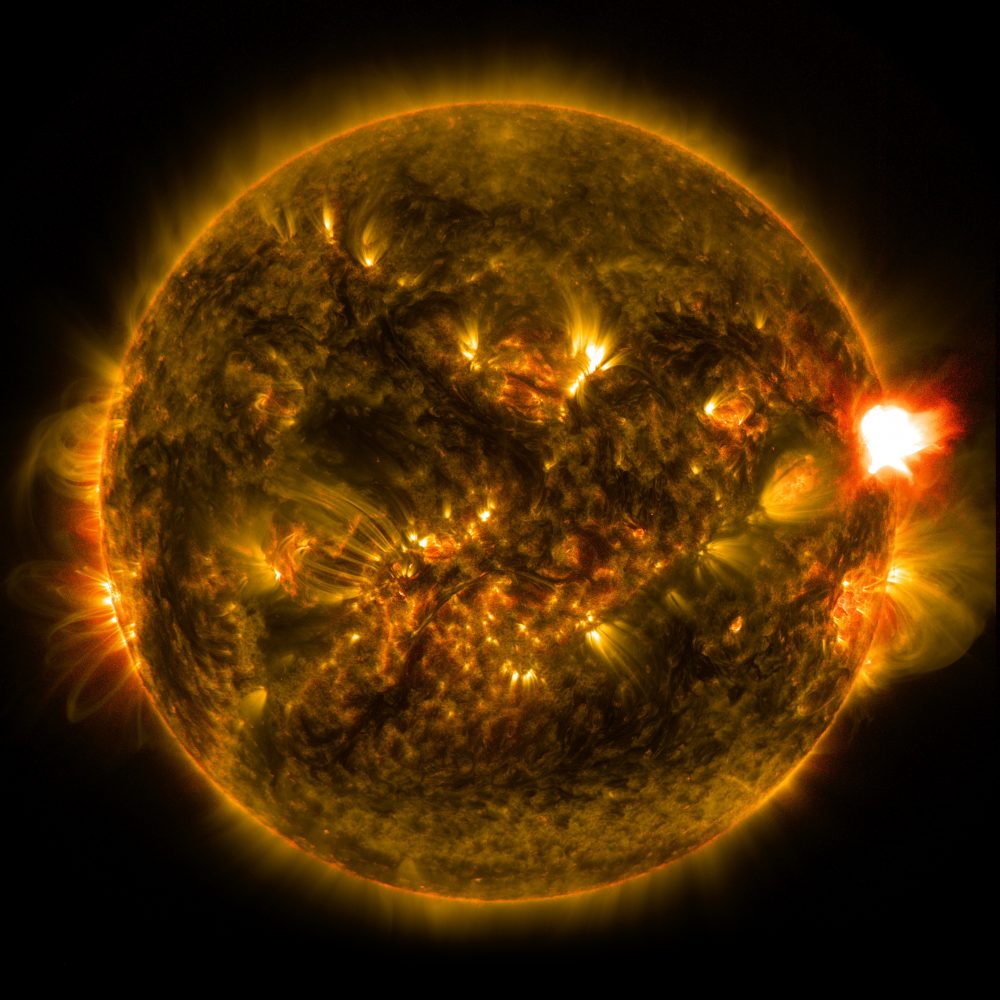 Image of the Sun. Credit: NASA Goddard Space Flight Center