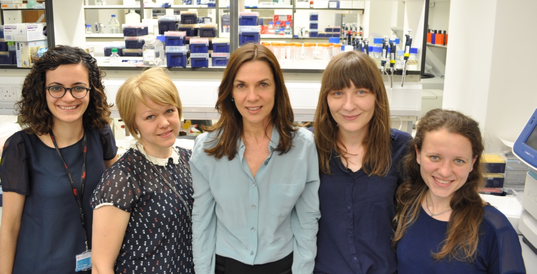 This research was a big team effort. Scientists from the laboratory of Prof. Magdalena Zernicka-Goetz (University of Cambridge) involved in the research (from left to right): Marta Shahbazi, Sanna Vuoristo, Magdalena Zernicka-Goetz, Anna Hupalowska and Agnieszka Jedrusik. This work is possible thanks to close collaborations with CARE Clinics and Guy’s Hospital. 