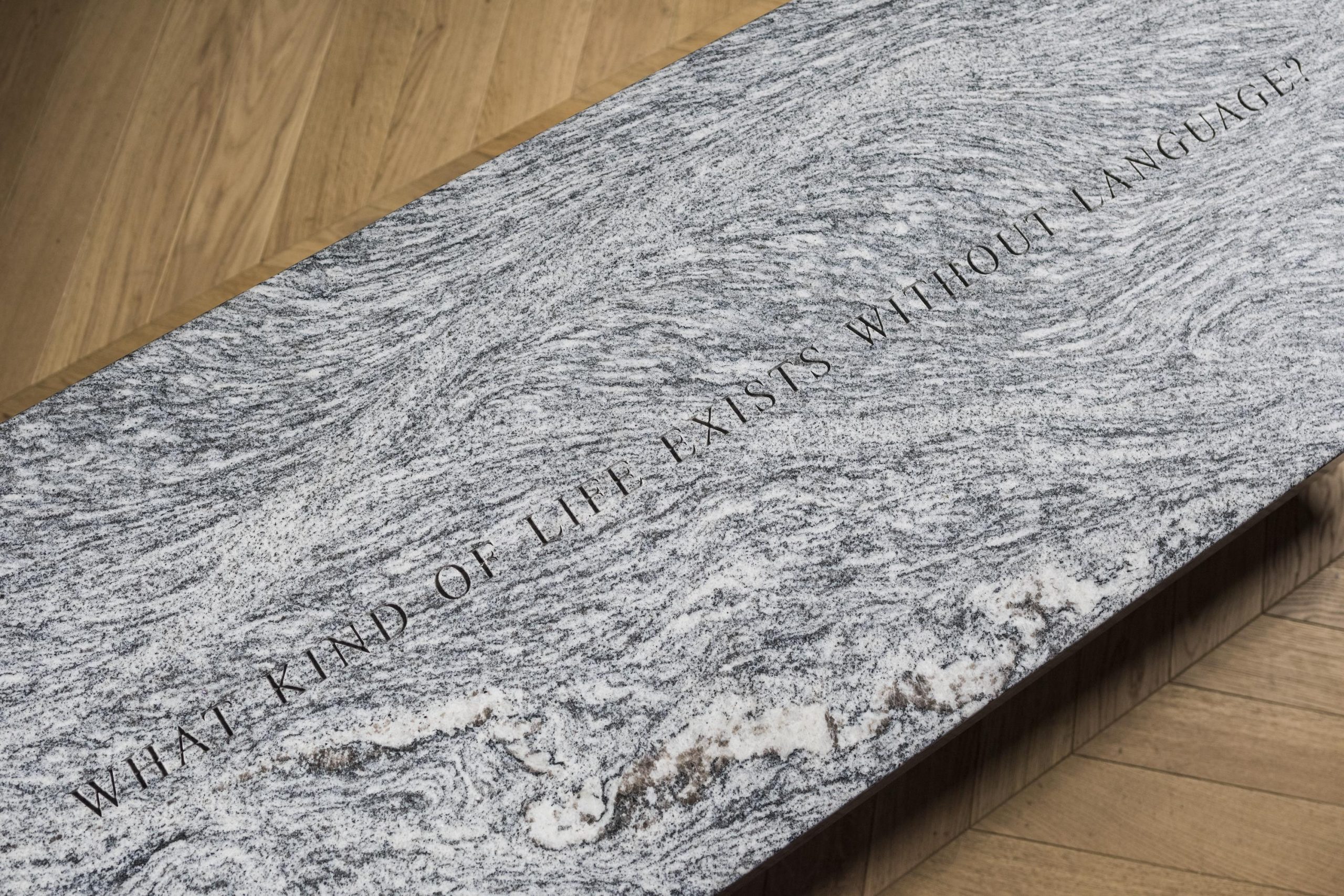 Grey bench with engraving of "what kind of life exists without language?" on the top