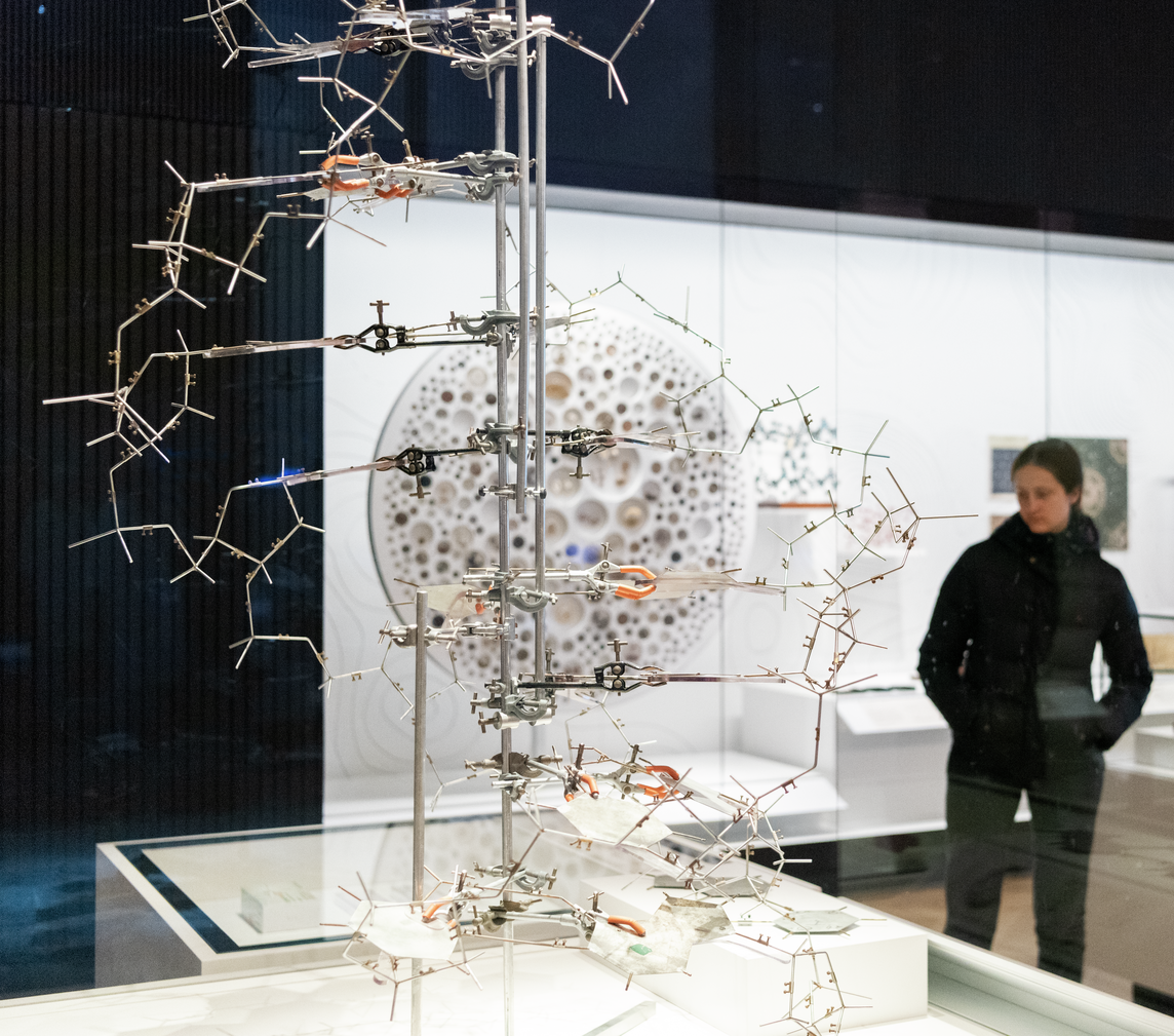 Reconstruction of the double helix model of DNA using some of the original metal plates in Medicine: The Wellcome Galleries at the Science Museum.