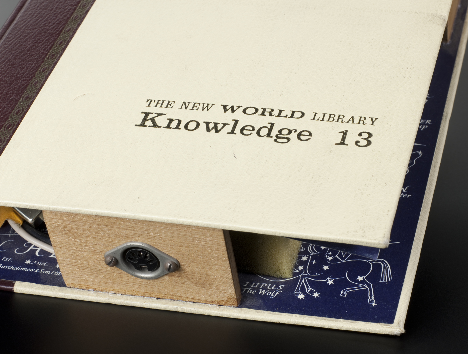 Shozyg by Hugh Davies (© Science Museum, London)