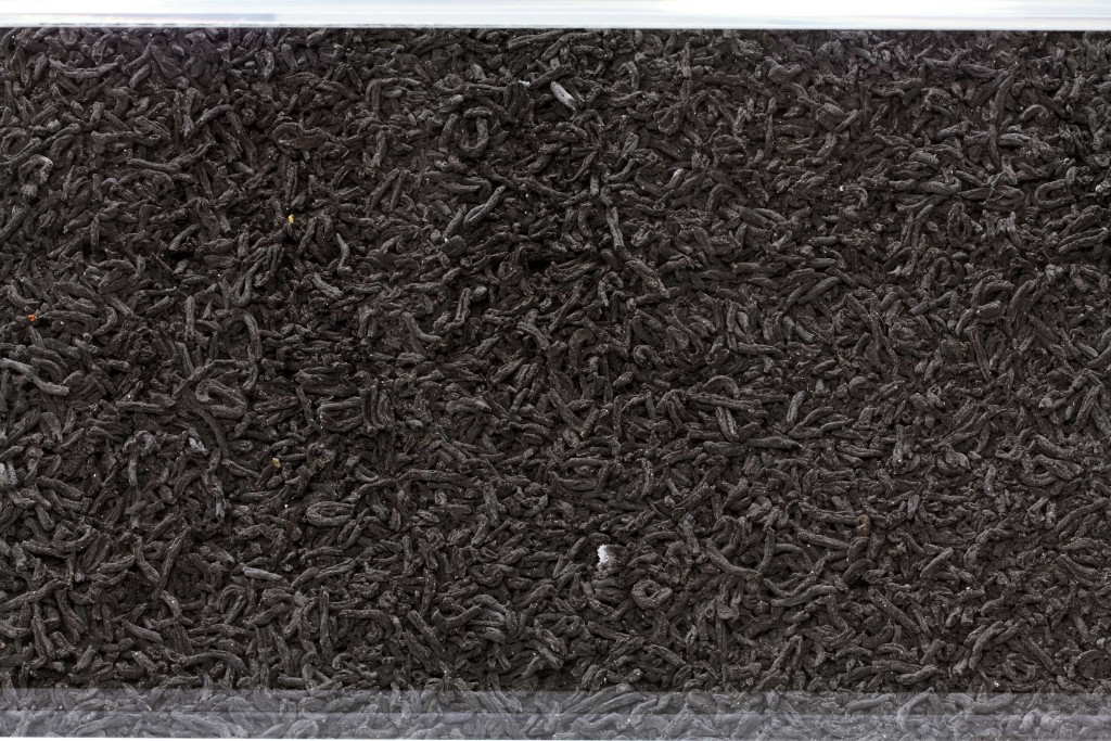 Sludge cakes formed from a month's worth of the Museum's human waste © Glasshopper