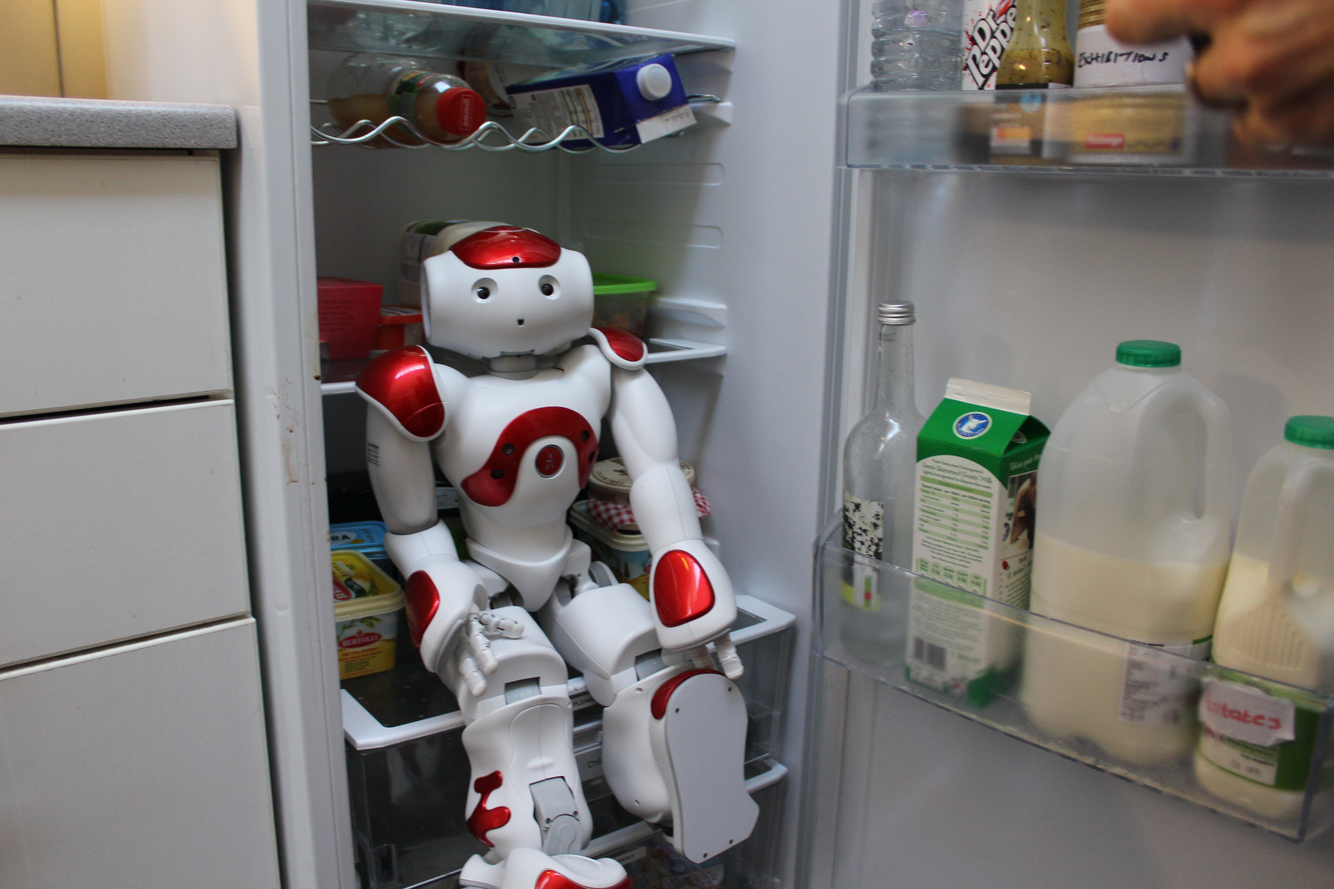University of Sheffield’s NAO robot 