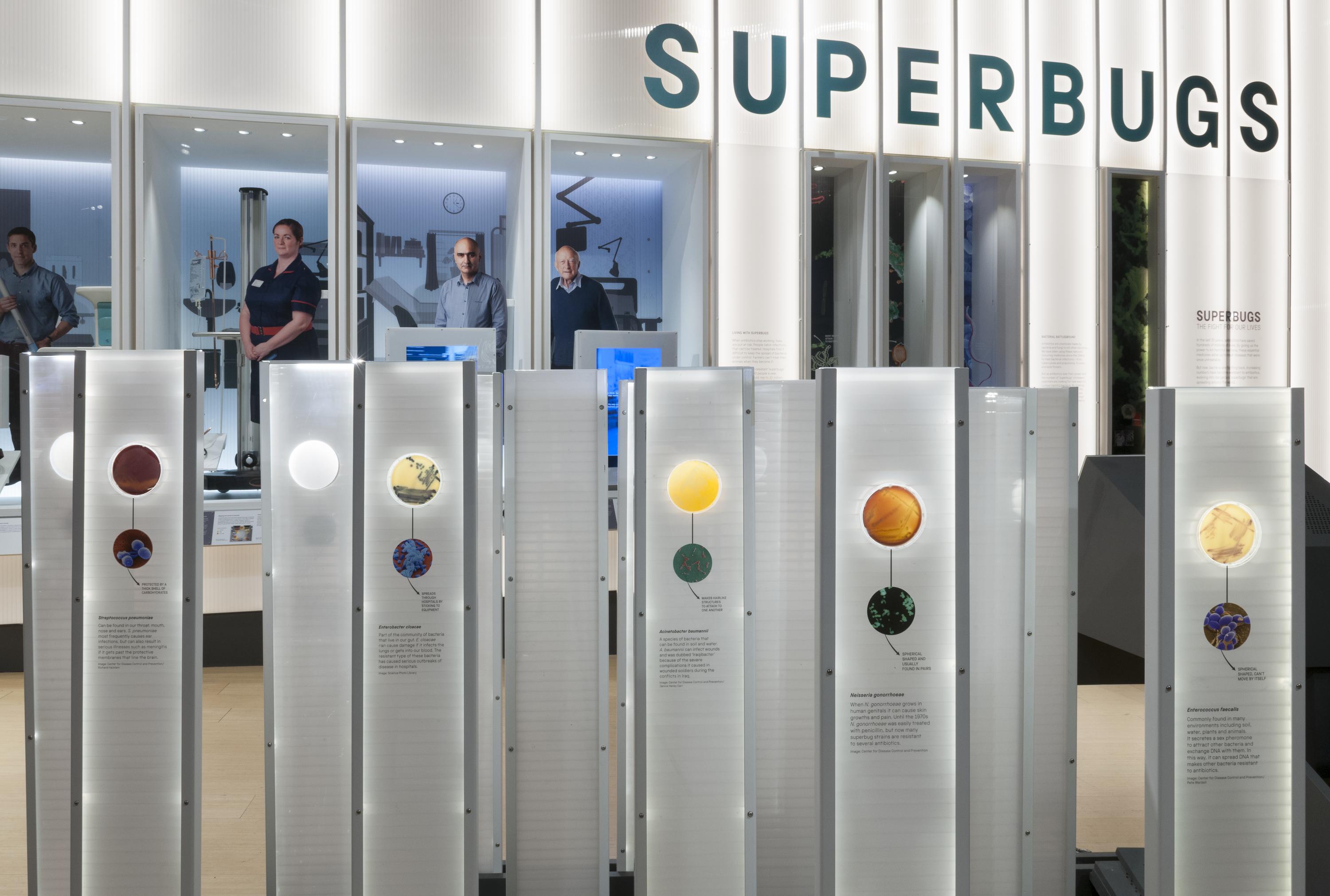 A view of bacteria in the Superbugs exhibition.