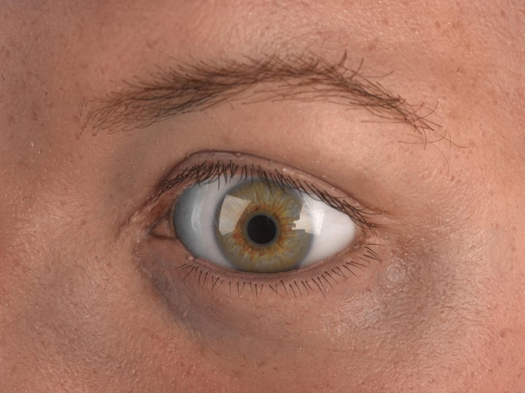 3D-printed sculpture of Dr Alice Roberts with various body parts replaced with animal parts. Produced for "Alice Roberts' Perfect Body" in conjunction with BBC. Displayed in Who Am I? gallery update case.