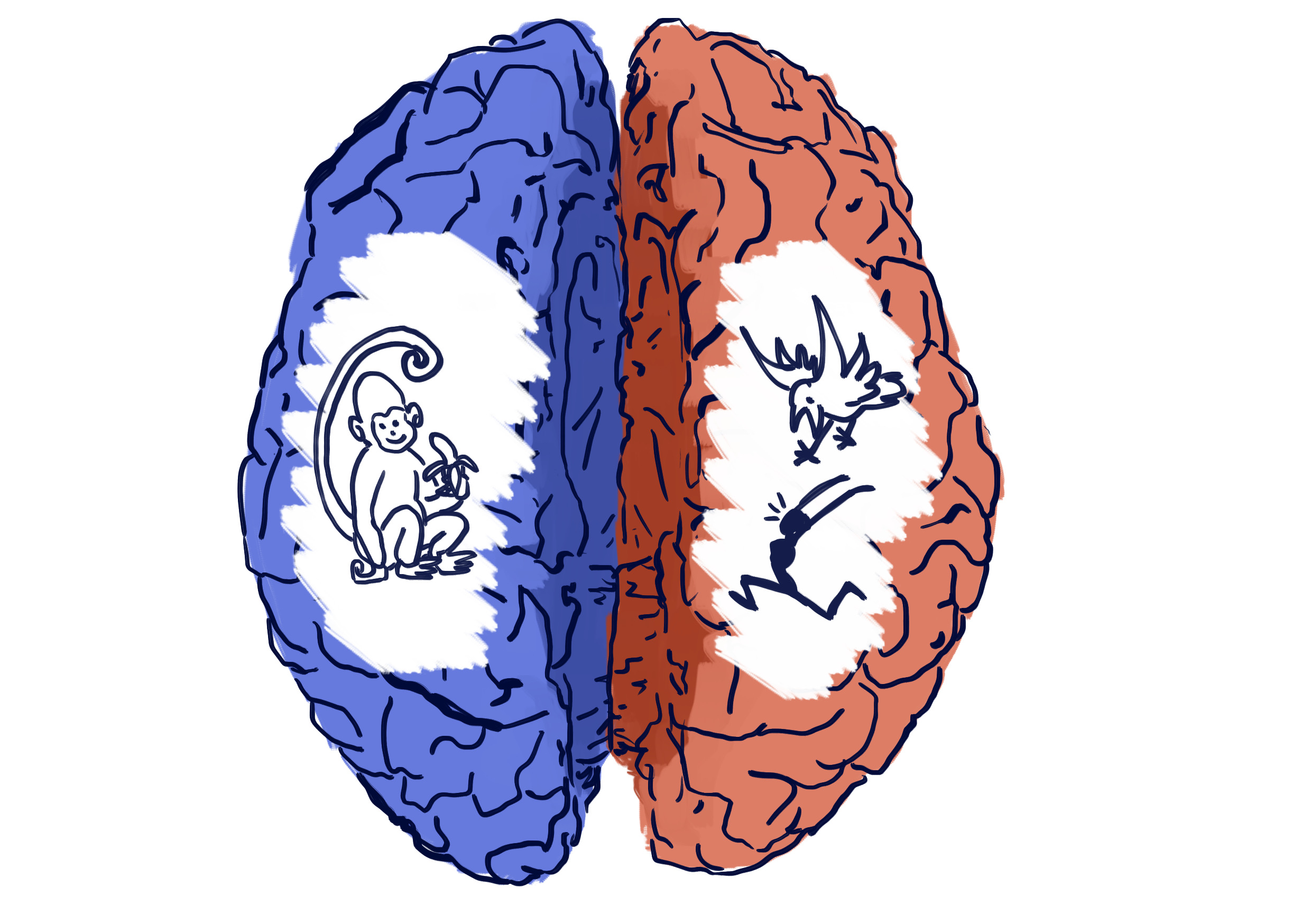 The Divided Brain - right hand side shows man running from bird and left side shows a monkey holding a banana 
