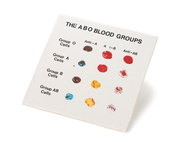 Blood-grouping tile, porcelain, made by H. and R.Johnson Ltd., English, 1970-1981 © Science Museum Group Collection