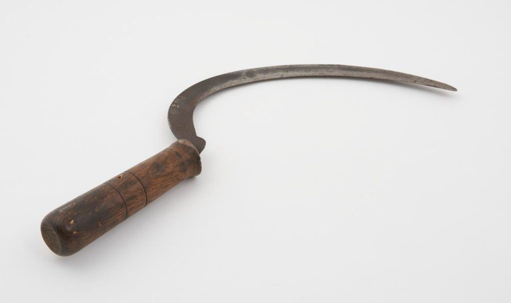 Sickle with serrated edges from Sound Weisdale, Shetland Islands © Science Museum Group. Sickle-cells take get their name for their particular shape, reminiscent of a sickle.