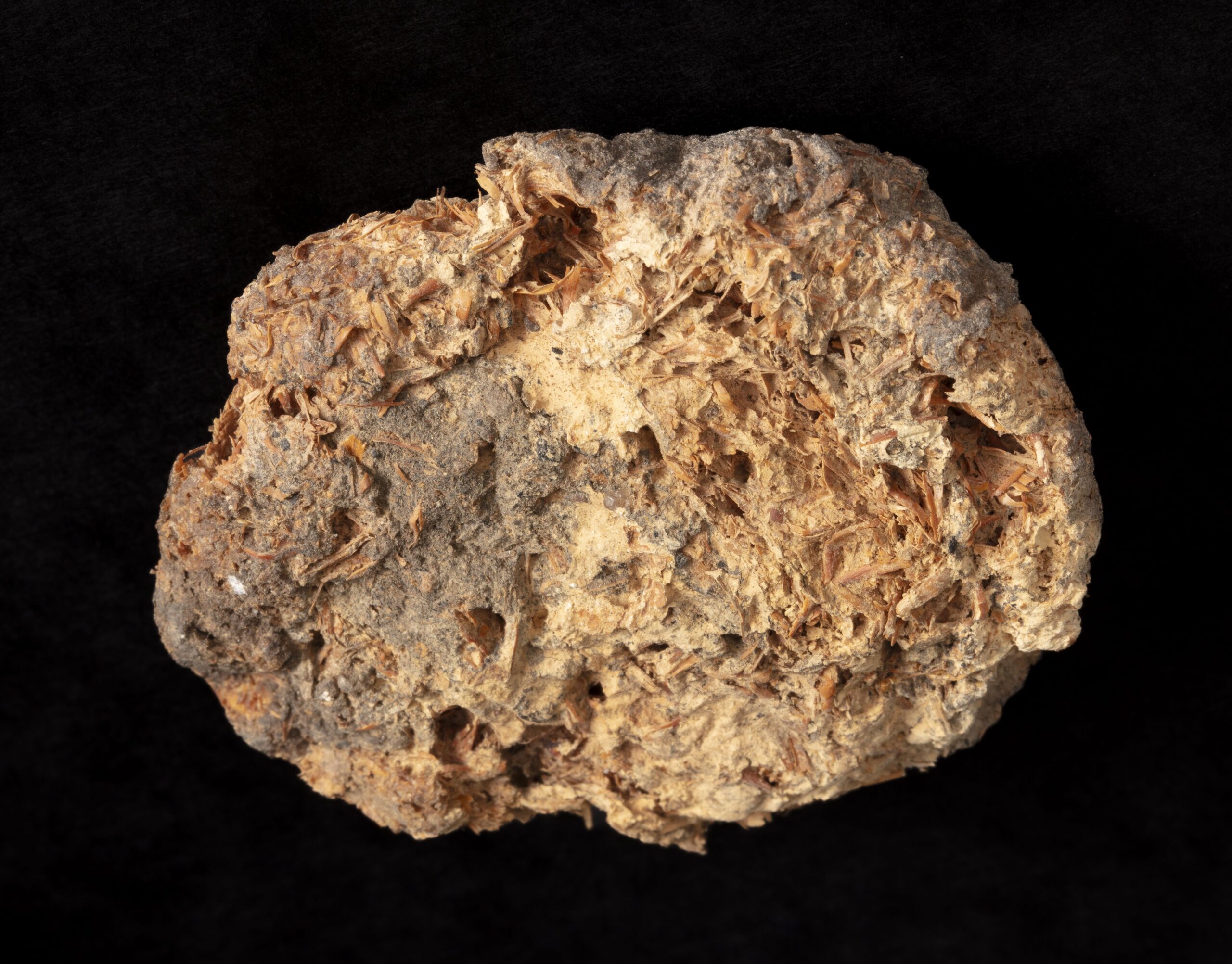 Ancient bread, about 1500 BCE.