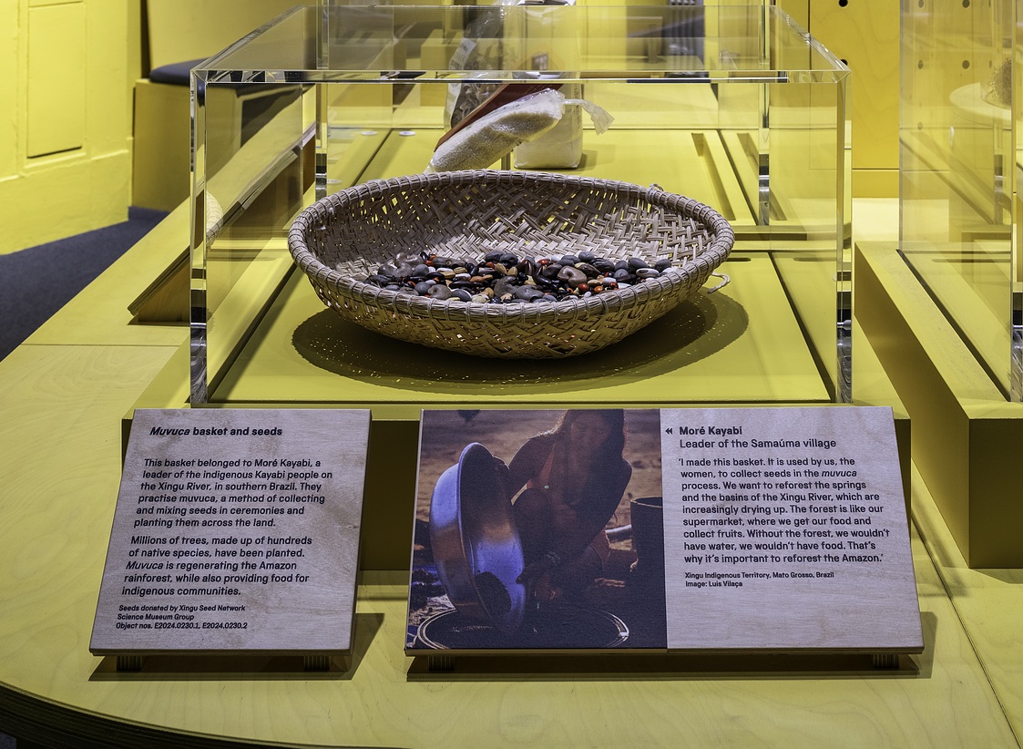 Seeds from Brazil, part of the Future of Food exhibition